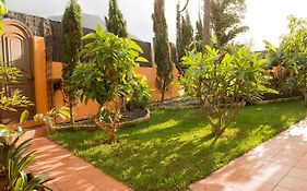 Energy Garden